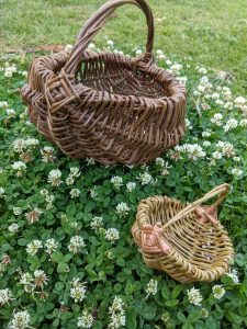 Baskets made in Basket Willow weaving Workshop