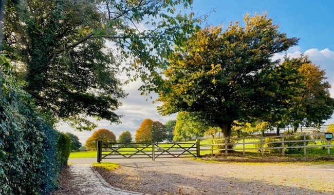 Country Park Autumn 21 By Debbie Miles Williams Aspect Ratio 650 380