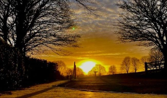 Country Park Winter Sunset 3 2022 DMW Aspect Ratio 650 380