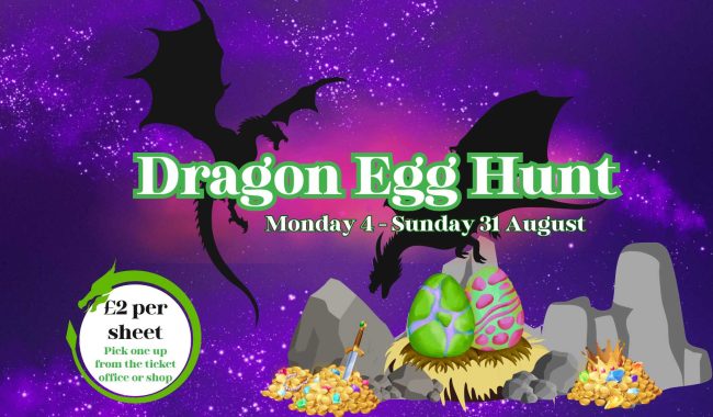 Dragon Egg Hunt Poster 1920 X 1080 Px 3 Aspect Ratio 650 380