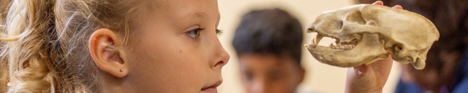 Charnwood Bones 1 Aspect Ratio 2000 400