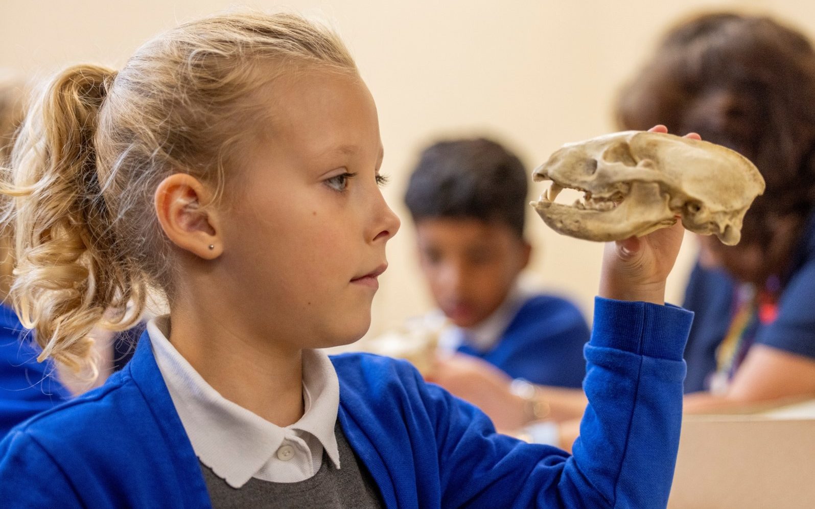 Charnwood Bones 1 Aspect Ratio 640 400