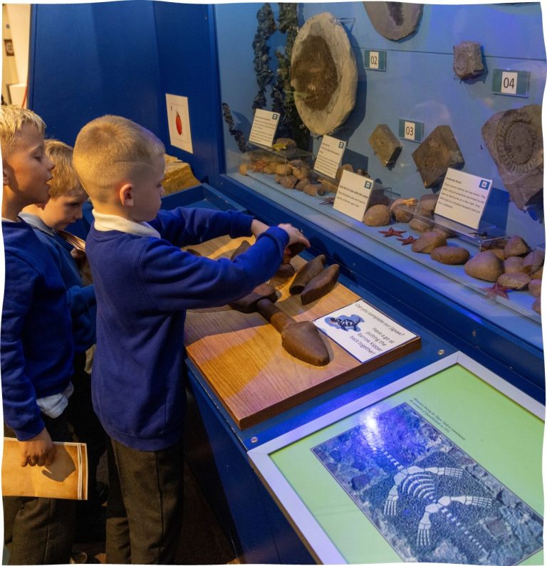 Pupils exploring the barrow kipper and fossil displays at Charnwood Museum