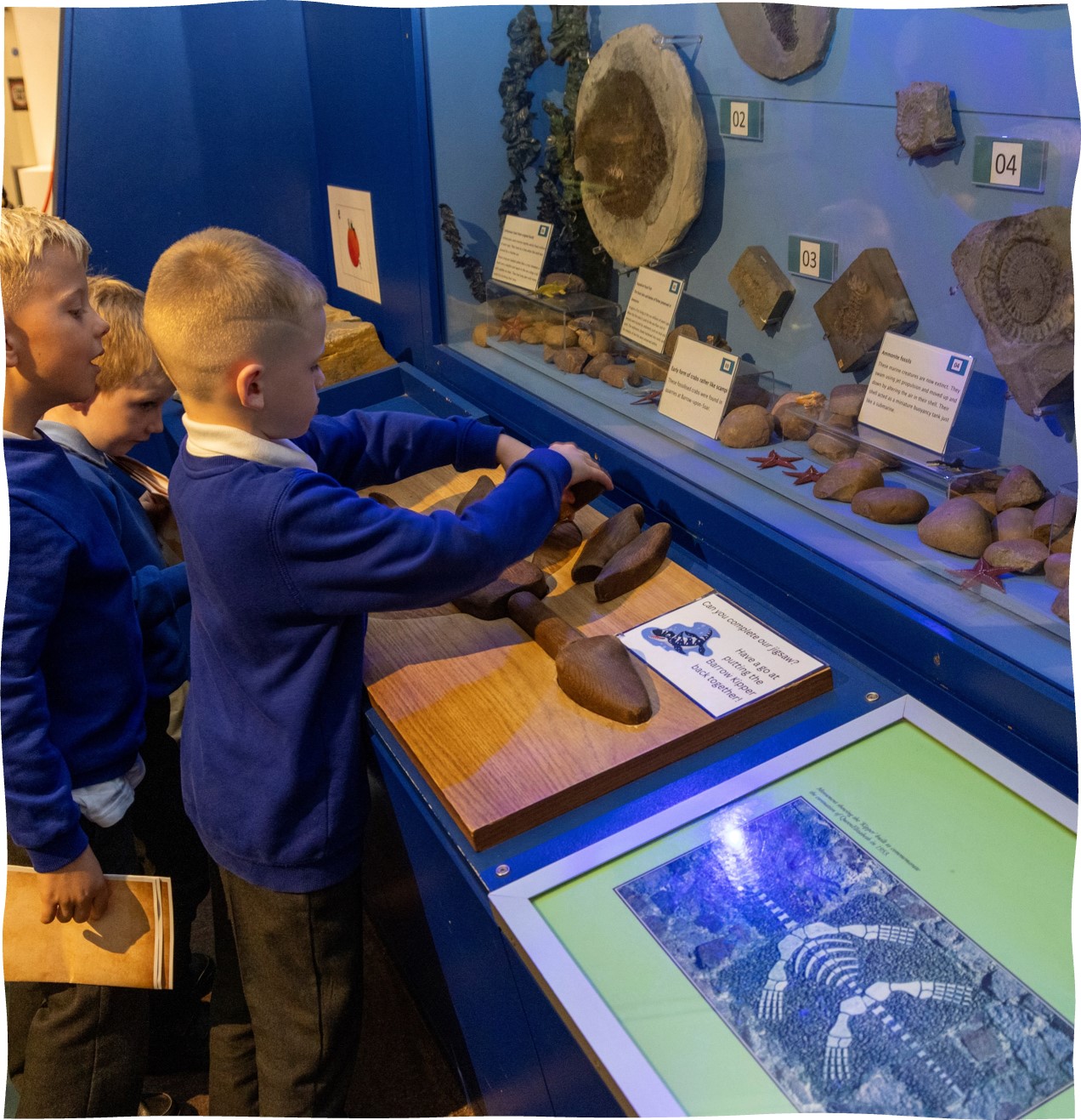 Pupils exploring the barrow kipper and fossil displays at Charnwood Museum