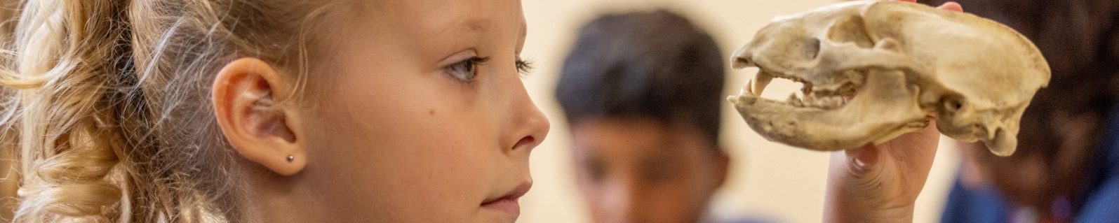 Charnwood Bones 1 Aspect Ratio 2000 400