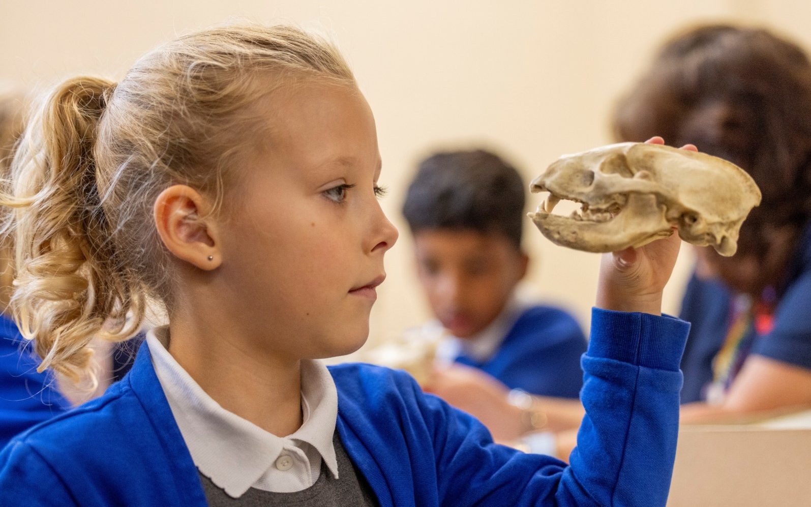 Charnwood Bones 1 Aspect Ratio 640 400