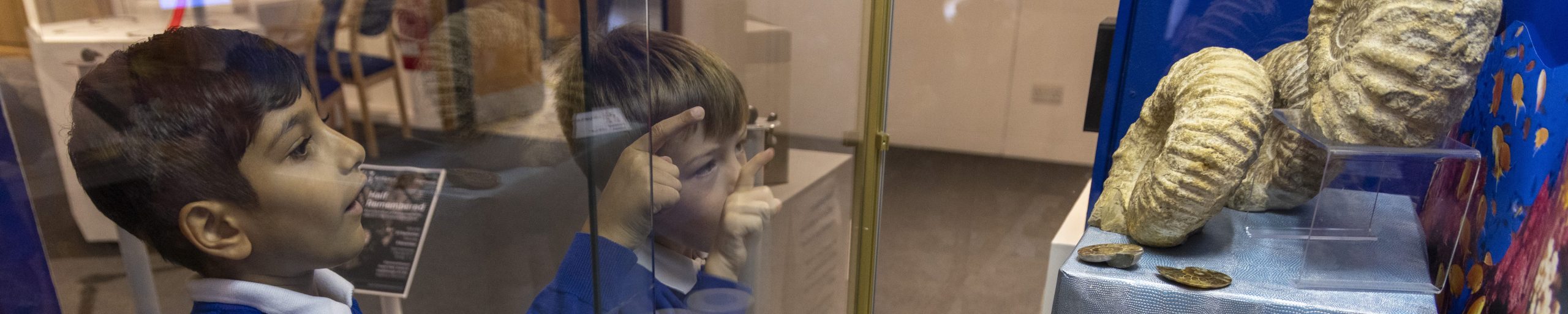 S17 LCC 3691 Scaled Aspect Ratio 2000 400