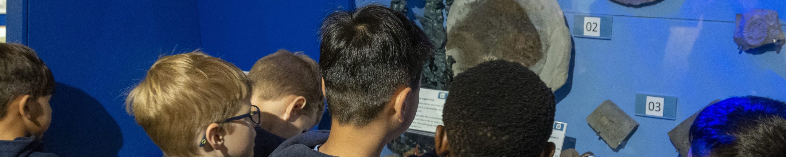 S17 LCC 4662 Scaled Aspect Ratio 2000 400