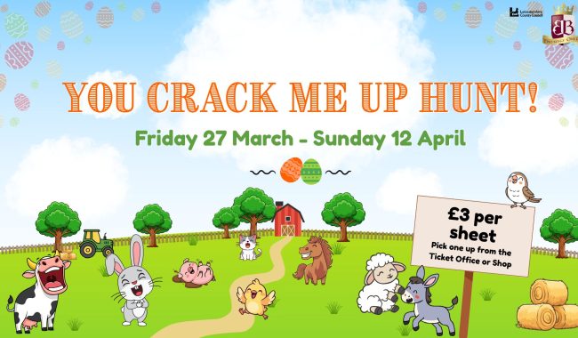 1 Aspect Ratio 650 380