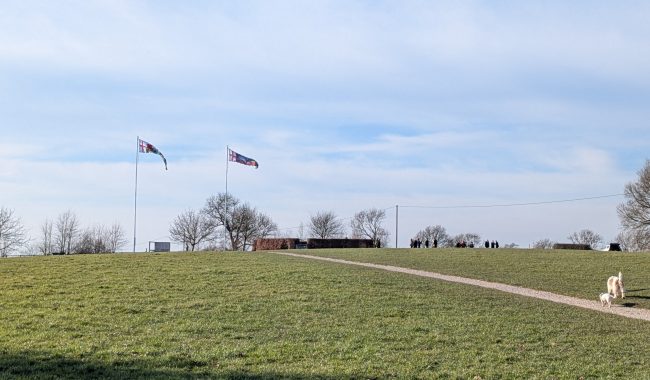 PXL 20250304 153630386 Scaled Aspect Ratio 650 380