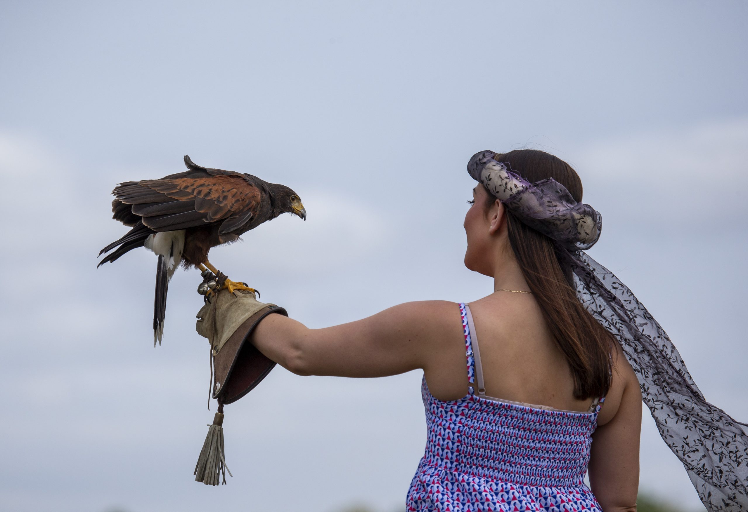 S17 6756 Scaled Aspect Ratio 640 340