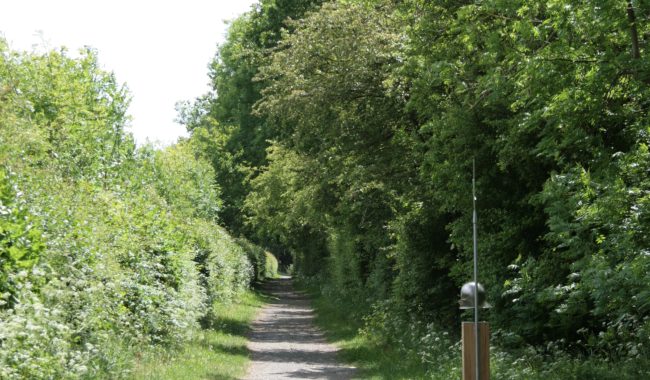 20110524 Trail IMG 8265 Scaled Aspect Ratio 650 380