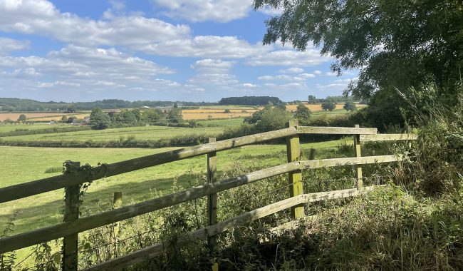 Sunny Fields Scaled Aspect Ratio 650 380