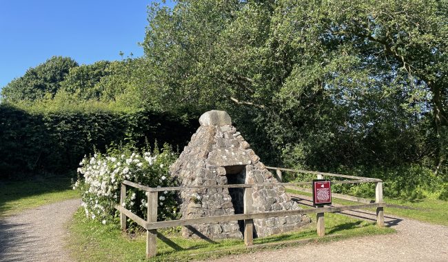 Well With Roses Scaled Aspect Ratio 650 380