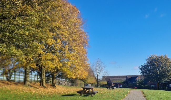 20231111 112109 Aspect Ratio 650 380