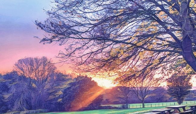 Autumnal Picnic Field Aspect Ratio 650 380
