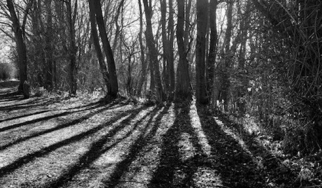 Country Park Winter 2 2022 DMW Take 2 Aspect Ratio 650 380