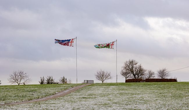 Flag Polls Aspect Ratio 650 380