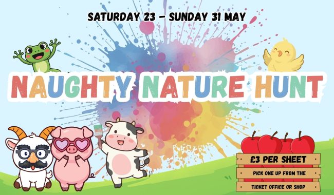 Naughty Nature Hunt Poster 1920 X 1080 Px Aspect Ratio 650 380