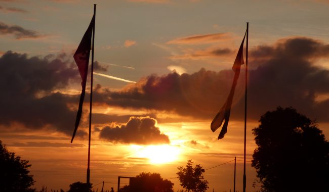 P1240321 1 Scaled Aspect Ratio 650 380