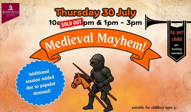 Medieval Mayhem Poster 1920 X 1080 Px 1 1 Aspect Ratio 650 380